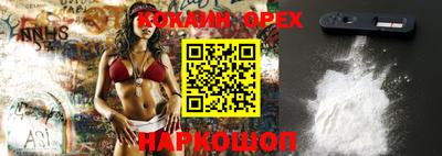 индика Новодвинск