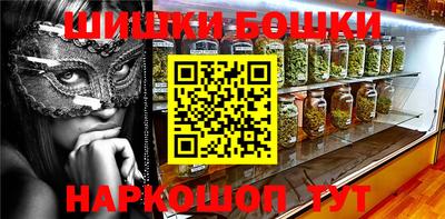 индика Новодвинск