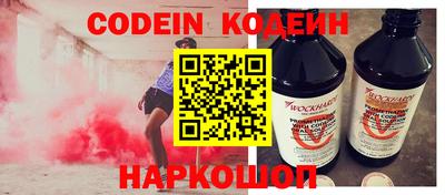индика Новодвинск