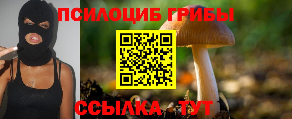 Галлюциногенные грибы Cubensis Нягань